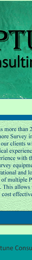 This allows us to provide our client with the most time and cost effective solutions to project management