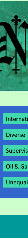 Diverse Technical Background